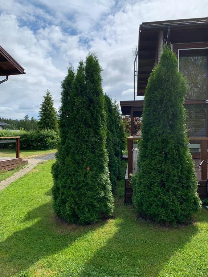 Kiurunrinne Villas Virasoja Eksteriør bilde