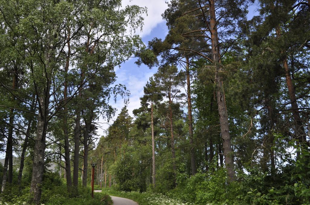 Kiurunrinne Villas Virasoja Eksteriør bilde